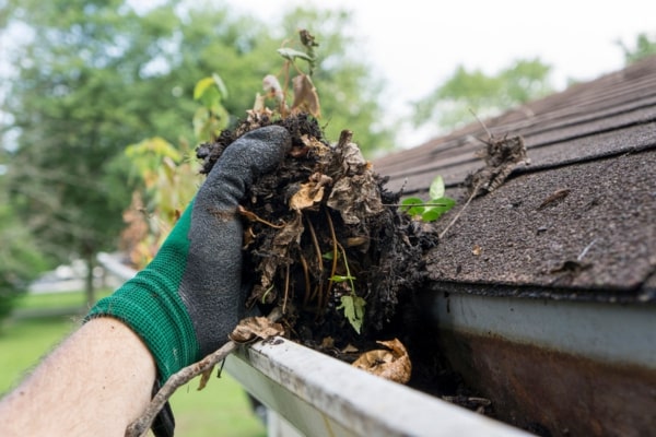 Gutter Clearing Services