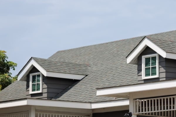 Residential Roof Cleaning Services